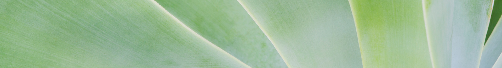 Clean Tech & Sustainability